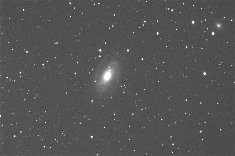 M81